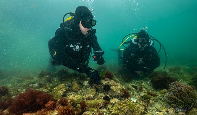 Tuzla Marmara Denizi'ne umut oldu