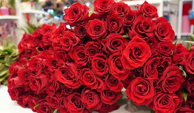 Sevgililer için gül 200, orkide 2 bin lira