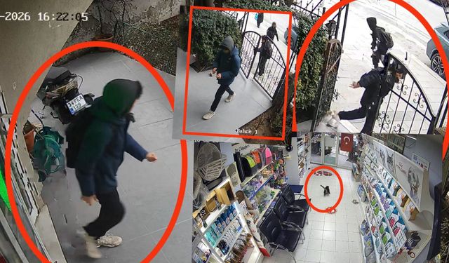 Bu kadarına da pes! Hayvanların arasına torpil atıp kaçtılar