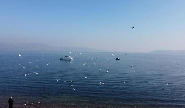 Sapanca Gölü'nde su seviyesi, 1 ayda 17 santimetre arttı