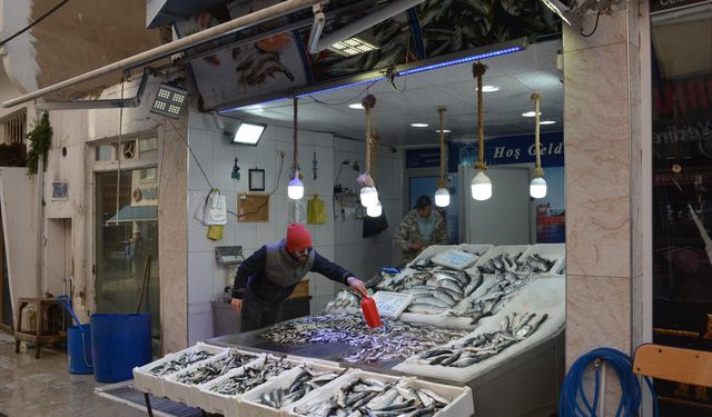 Ramazan bereketi balık tezgahlarına yansıdı