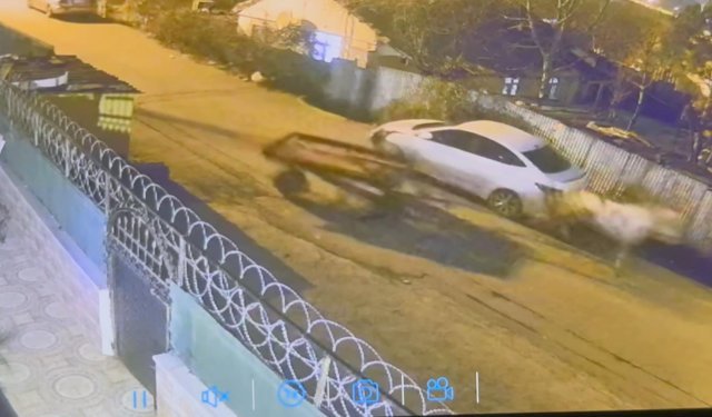 Başıboş at park halindeki araçlara çarptı