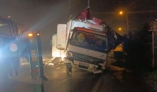 8 ton hamsi taşıyan kamyon takla attı