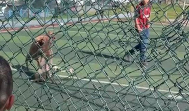 Sultangazi’de sahada korku dolu anlar