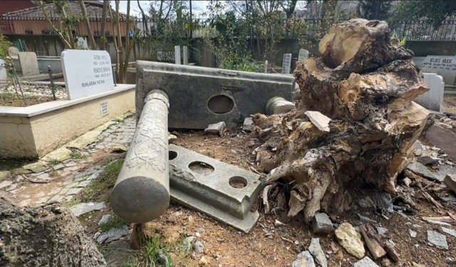 Fırtınada devrilen ağaçlar mezarlara zarar verdi