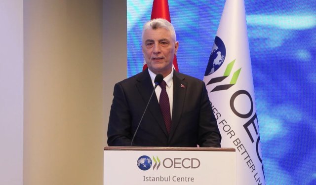 'Kritik madenlere çok büyük ihtiyaç var'