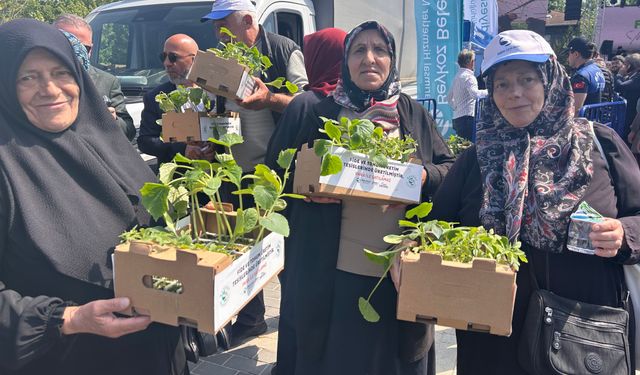 Beykoz'da 1 milyon 700 bin fide toprakla buluşuyor