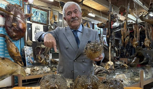 Balıkçı Kenan'dan "balon balığı" uyarısı