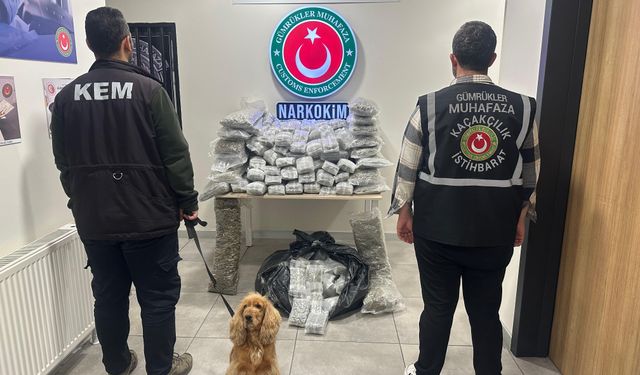 Ticaret Bakanlığı: 659 kilo uyuşturucu ele geçirildi