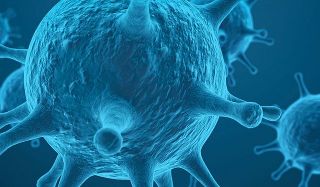 Hantavirüs nedir? Uzmandan çarpıcı açıklamalar