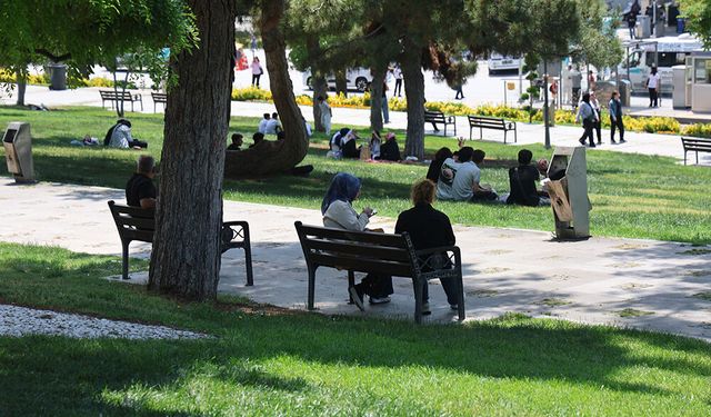 Uzmanlardan, "Kene" uyarısı