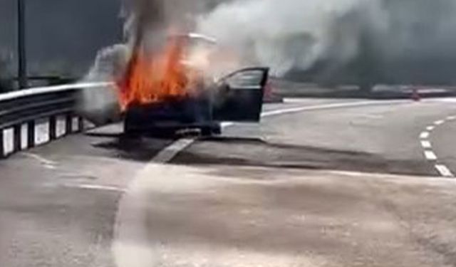 Kuzey Marmara Otoyolu'nda korkutan yangın