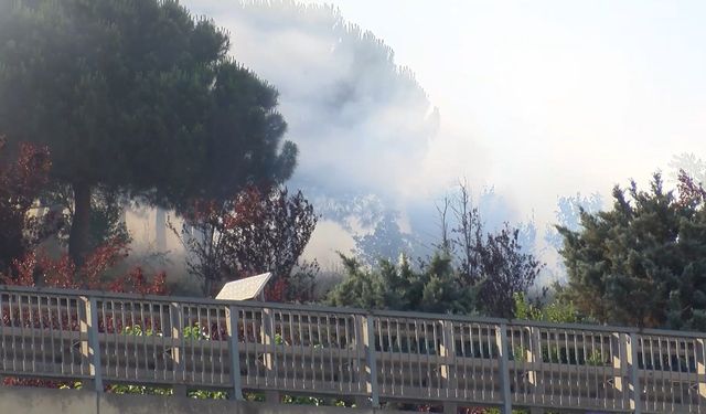 Kağıthane'de otluk alanda çıkan yangın söndürüldü