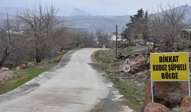 'Kuduz' alarmı; karantina uygulaması başlatıldı