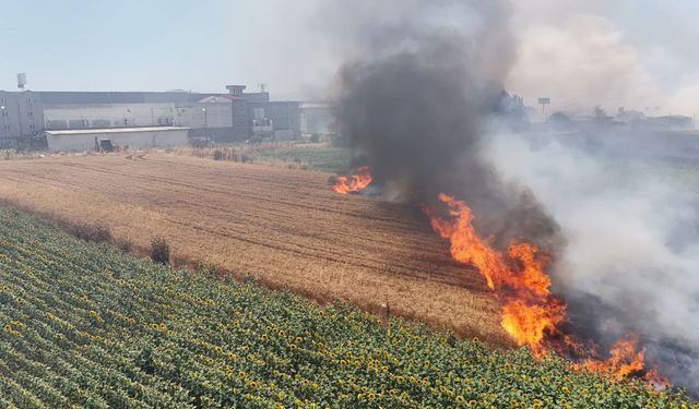 Silivri'de çıkan yangın seramik deposuna sıçradı