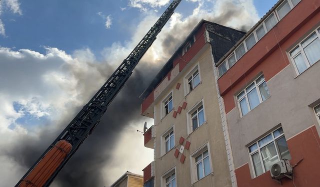 Avcılar’da çatı katında çıkan yangında 10 kedi öldü