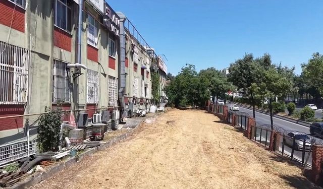 Başakşehir'de çevre tartışması: Otopark için ağaç kesildiği iddiası
