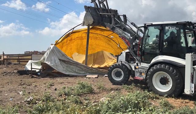Avcılar'da kaçak yapılara geçit yok: Ahır ve kümesler yıkıldı