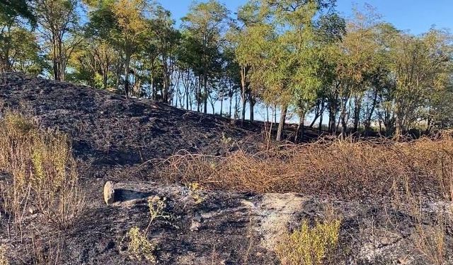 Başakşehir'de otluk alanda çıkan yangın söndürüldü