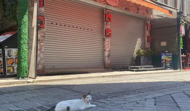 İstanbul'da mühürlü dükkanda korkutan manzara