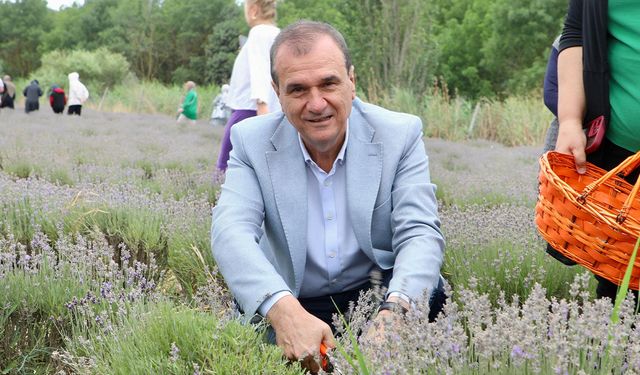 8'inci Lavanta Hasat Şenliği yoğun ilgi gördü