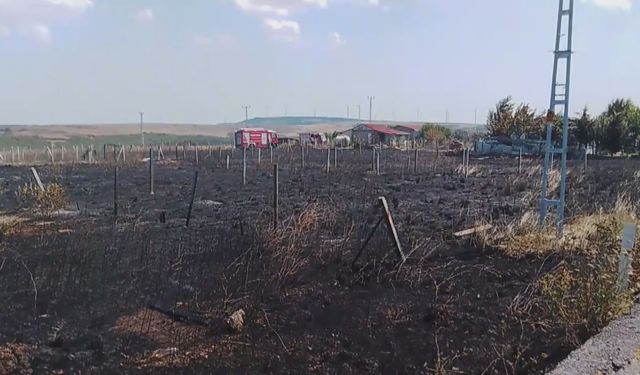 Silivri'de otluk alanda çıkan yangın çiftlik evine sıçradı