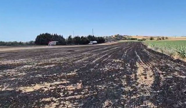 Silivri'de elektrik direği kesimi sırasında yangın