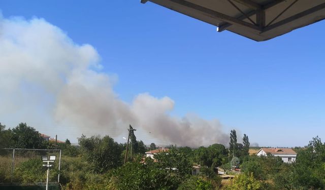 Biga'da korkutan yangın