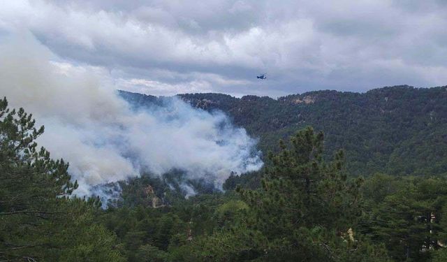 Antalya'daki orman yangını, 22 saatte kontrol altına alındı