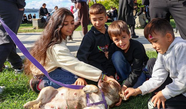 Beykoz Yaşam Festivali renkli görüntülere sahne oldu