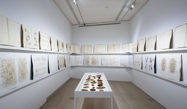 Tayfun Erdoğmuş’un 40 yılı aşkın sanat yolculuğu Arter’de konuşulacak