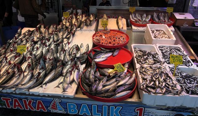 Balık tezgahlarında çeşit bolluğu