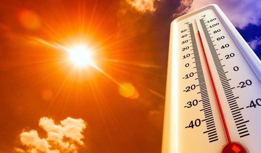 Romanya'da aşırı sıcaklar nedeniyle ‘kırmızı alarm’