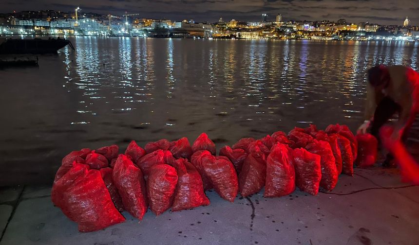 Kadıköy’de 1 ton kaçak midye ele geçirildi