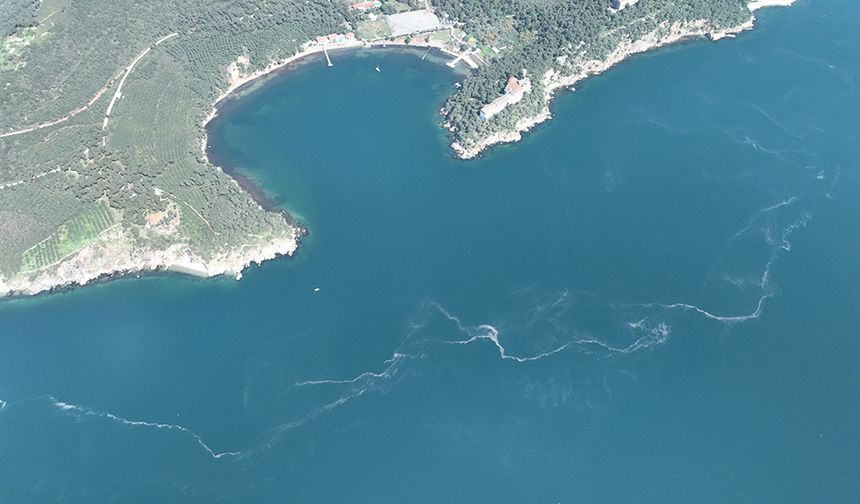 İstanbul’da müsilaj yeniden ortaya çıktı