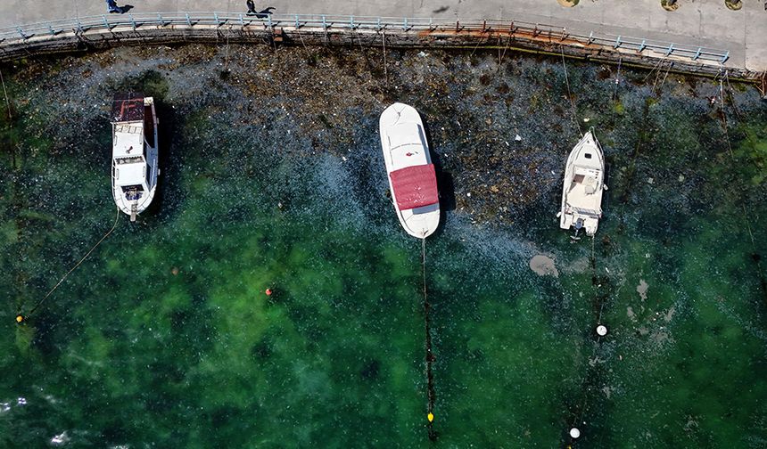 İstanbul Boğazı'ndaki kirlilik havadan görüntülendi