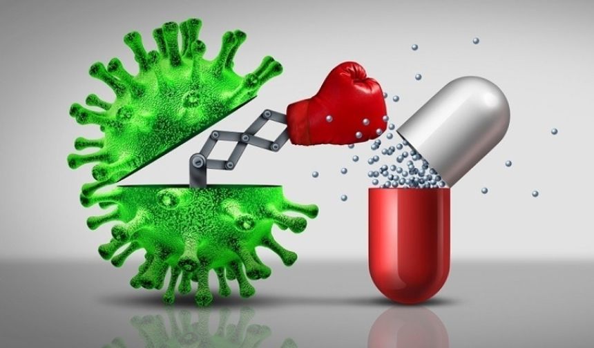 "Antibiyotik direnci, salmonella enfeksiyonlarını daha tehlikeli hale getiriyor"