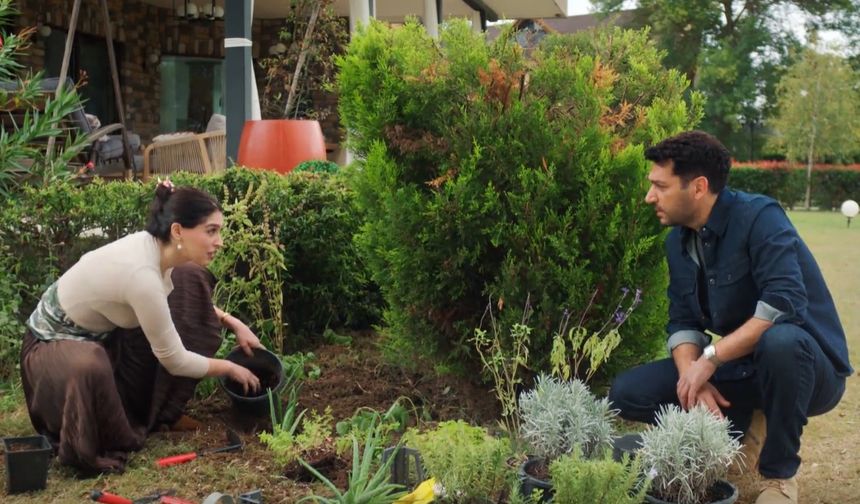 Güller ve Günahlar zirvede