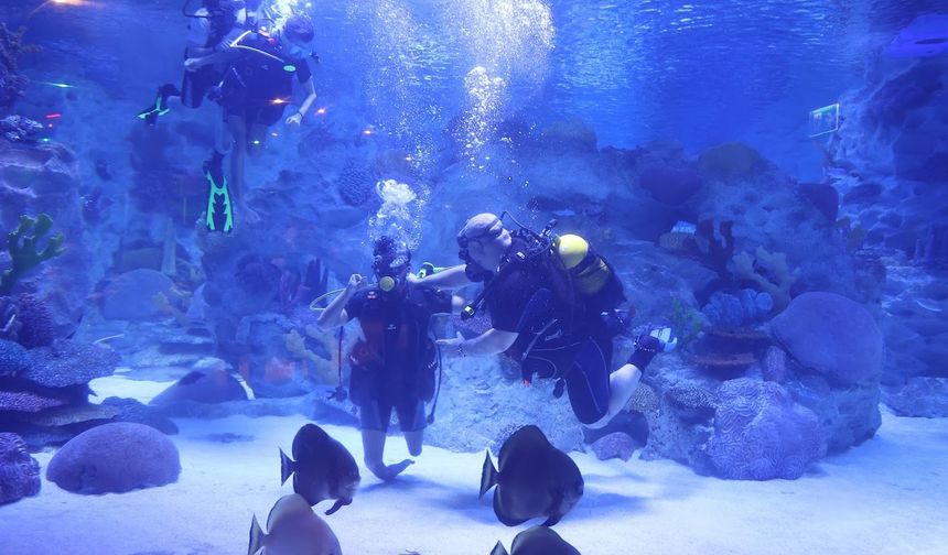 Engelliler, su altı dalışı yaparak yeteneklerini sergiledi