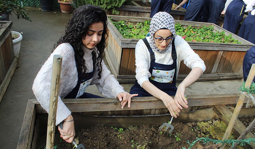 Zeytinburnu'nda ergoterapi öğrencileri engeli olan bireylerle birlikte fide ekti