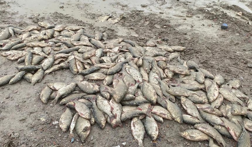 Döküm alanına çevrilen gölde korkutan manzara