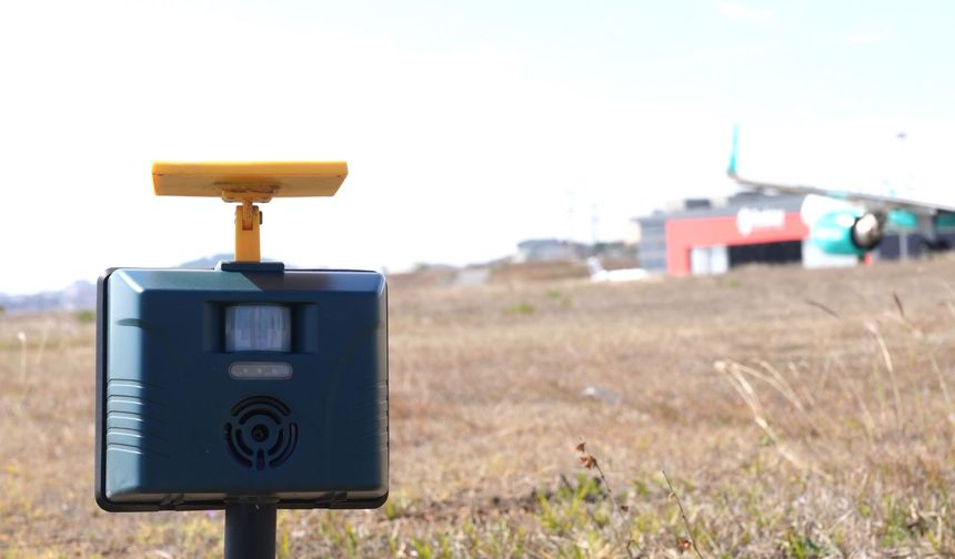 İstanbul ve Sabiha Gökçen havalimanlarında kuş sürüleri için ornitologlar görev başında