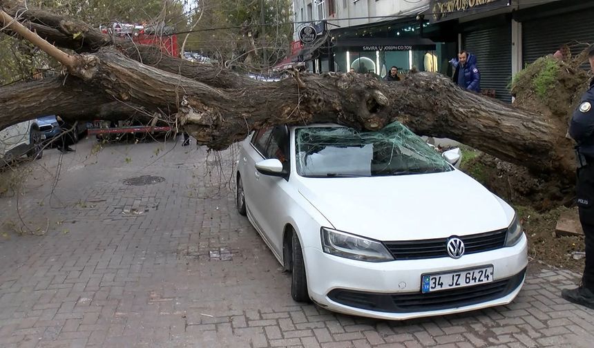 Güngören’de rüzgar kabusu: Ağaç 4 araca düştü