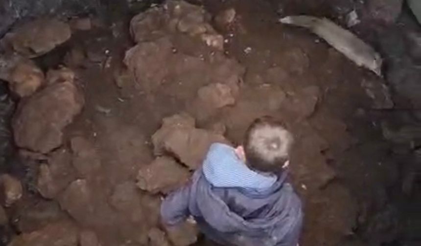 Doğaya duyarlı gençler tilkiyi ölümden aldı