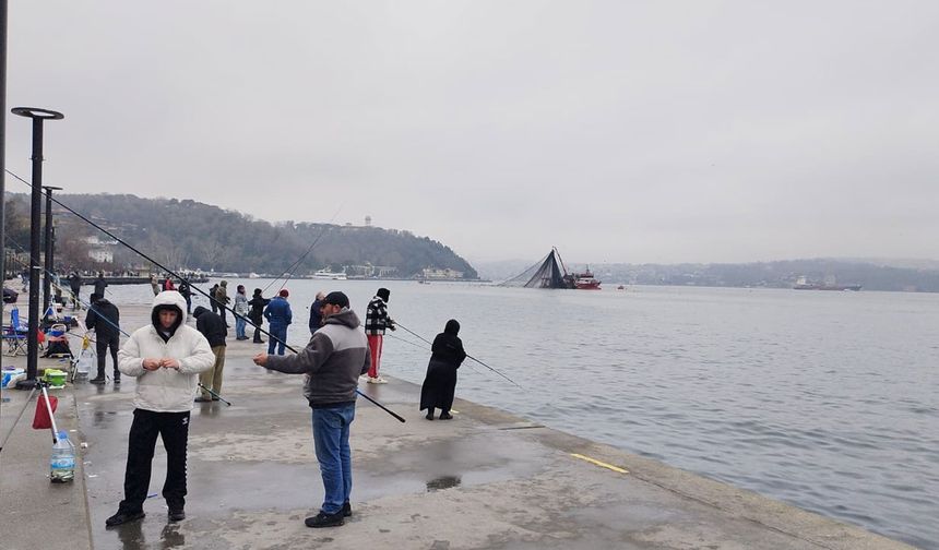 İstanbul'da balık bolluğu yüz güldürdü