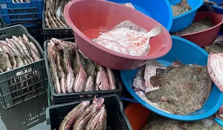 Beykoz’da ele geçirilen balıklar ihtiyaç sahiplerine dağıtıldı