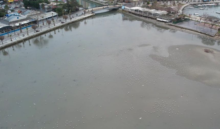İstanbul’da deniz çekildi: Silivri’de adacıklar oluştu!
