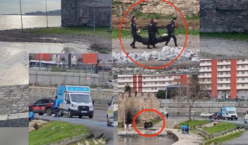 2 gündür aranıyordu, cansız bedeni bulundu