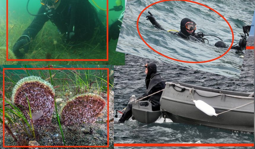 Başkan'ın dalışı müjde getirdi!