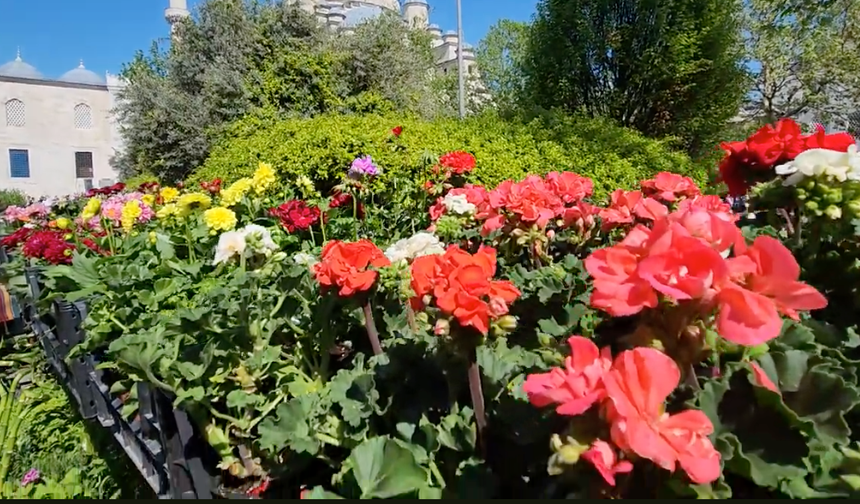 Sevgililer Günü’nün kalbi Çiçek Pazarı’nda atıyor!